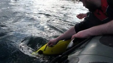Roboter Fische im Test Roboter Fische im Test