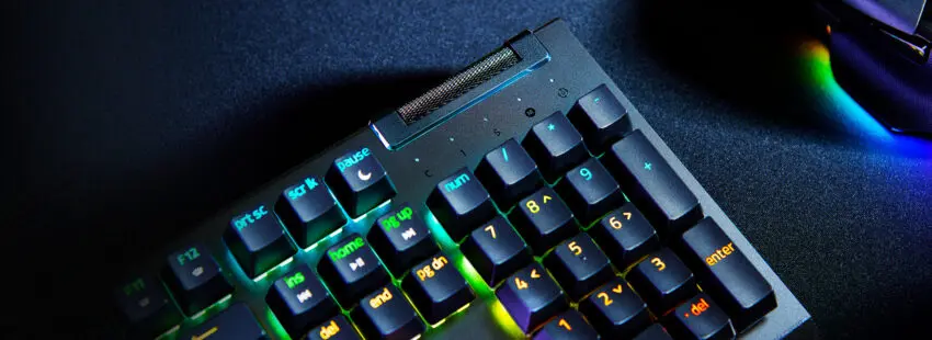 BlackWidow V4 X