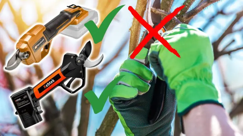 Elektrische Astscheren & Gartenscheren im Vergleich - finde die besten Gartenscheren