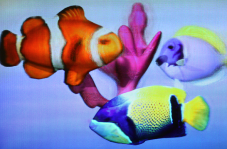 3d Fische, 3D, TV, Kino