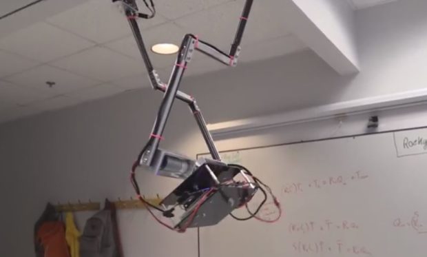 "Tarzan" Roboter von Giorgia Tech (Foto: Screenshot Youtube)