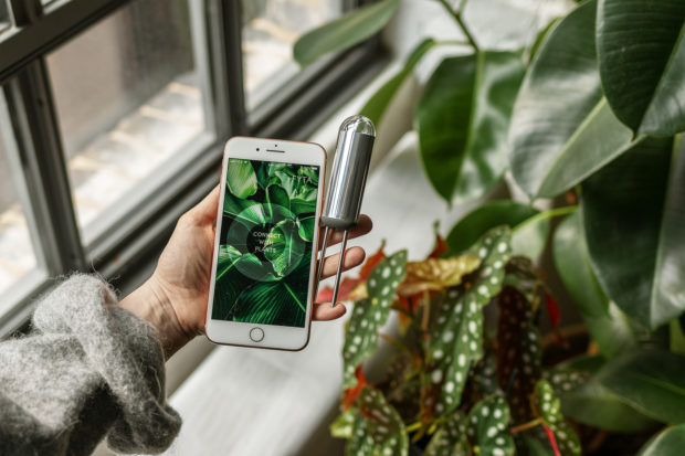 FYTA Sensor für Zimmerpflanzen mit App
